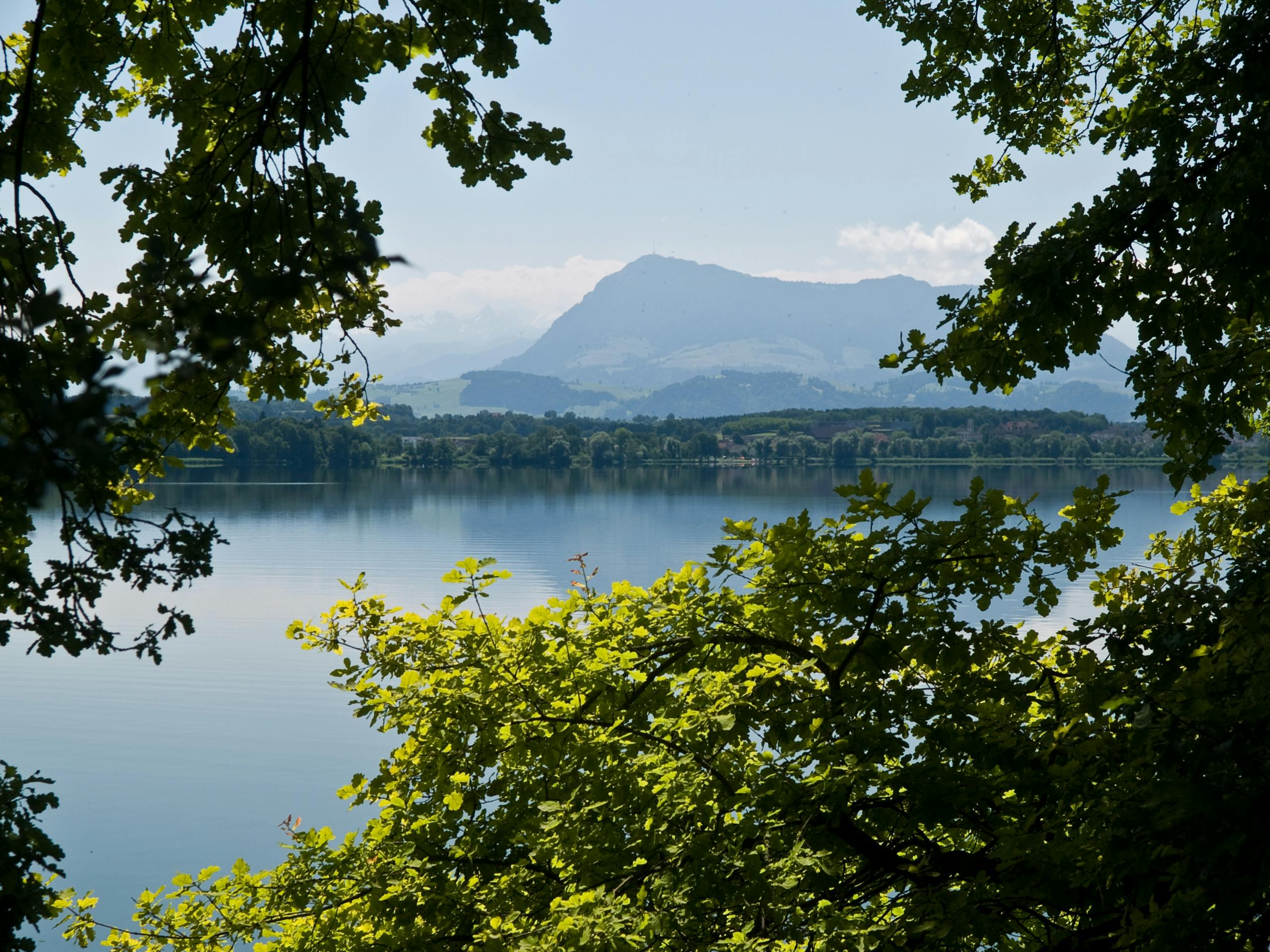 Hallwilersee