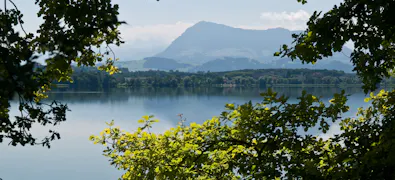 Hallwilersee