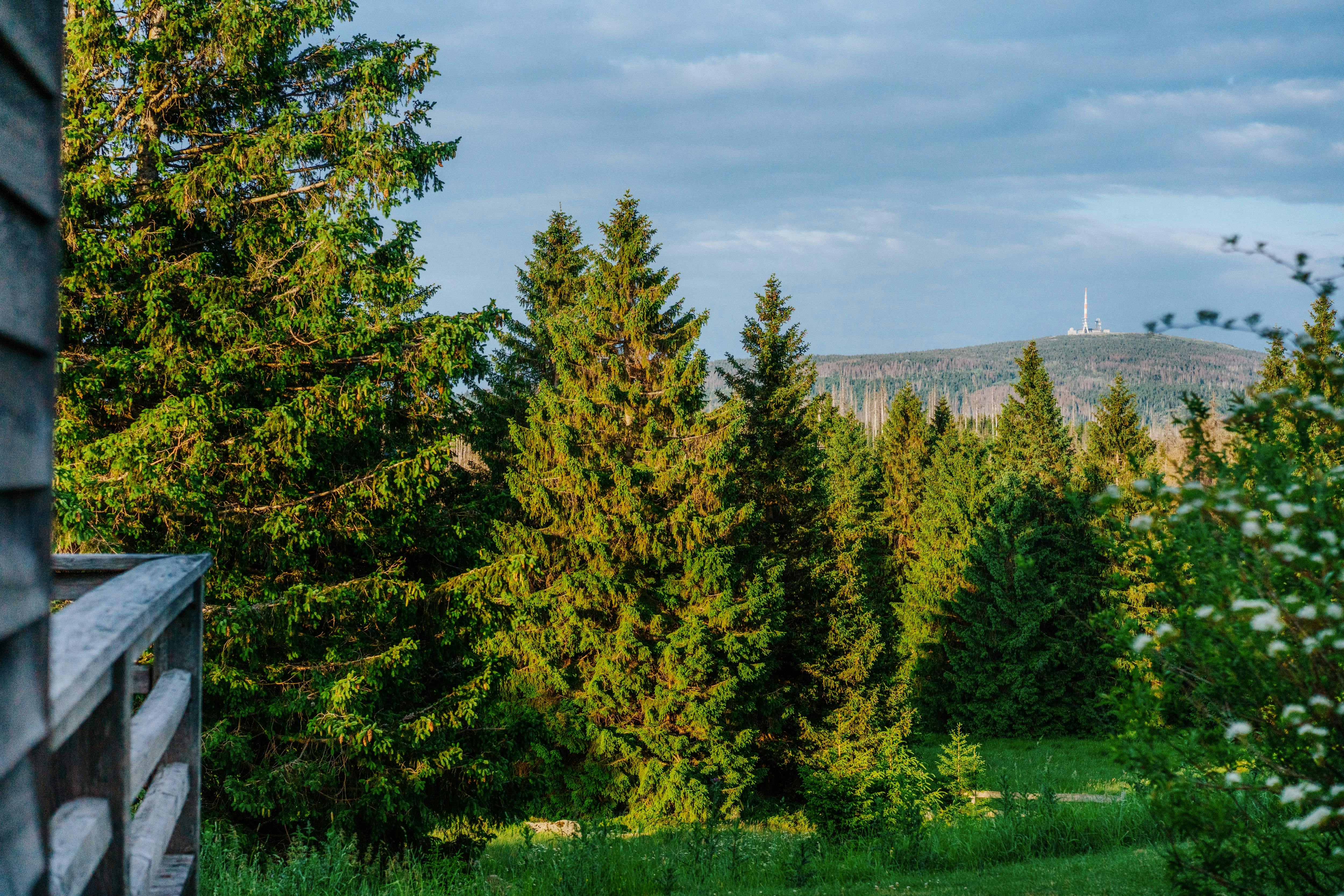 ****Berghotel im Torfhaus HARZRESORT