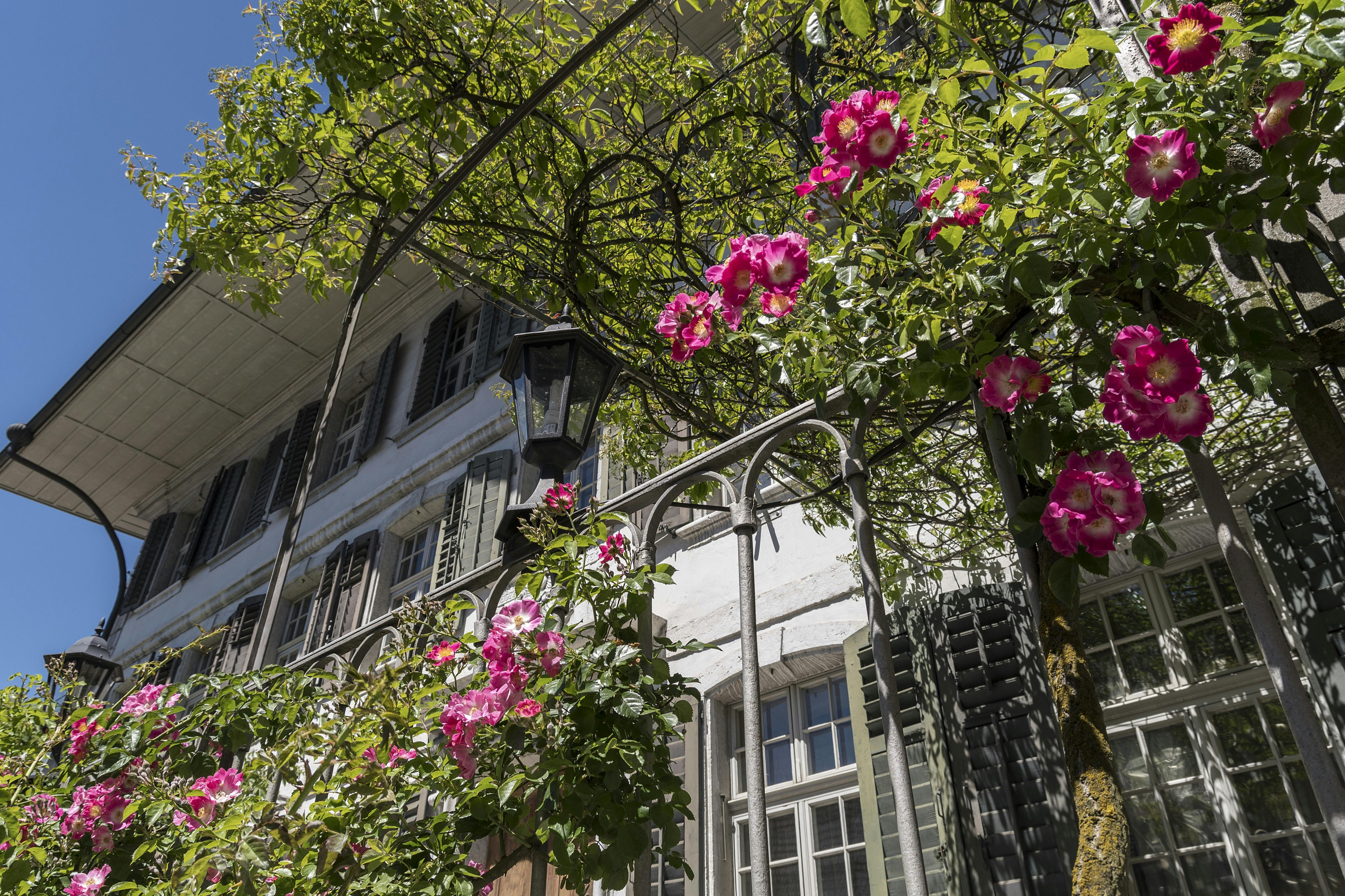 Kreuz Herzogenbuchsee