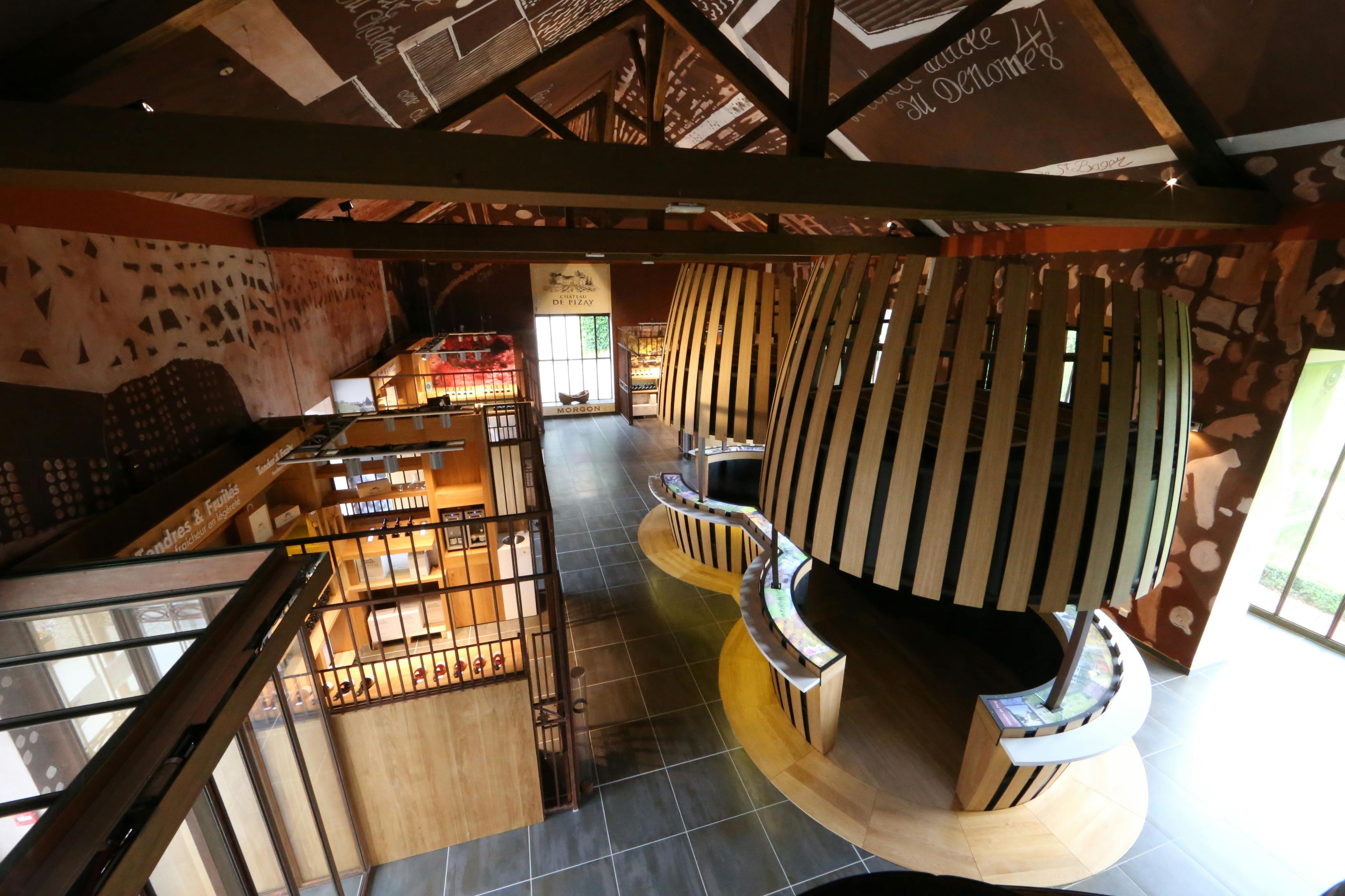 Einführung in die Önologie - Erlebnis für die Sinne