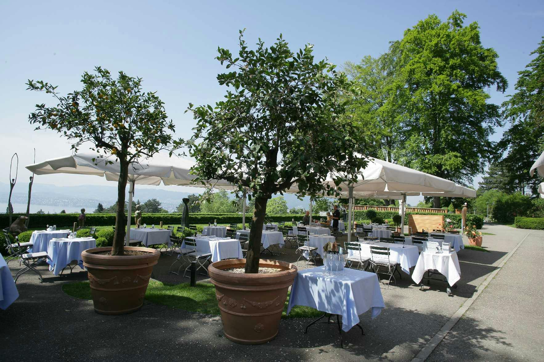 Zürichberg Terrasse & Lounge