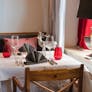 5-Gang Menü mit Weinbegleitung