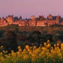 Carcassonne